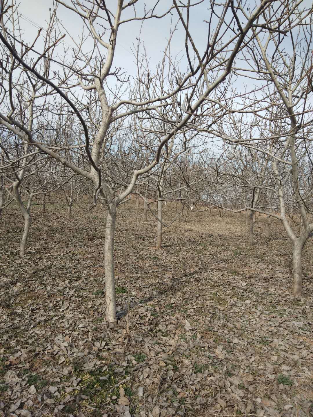 微信图片_20200315220346.jpg